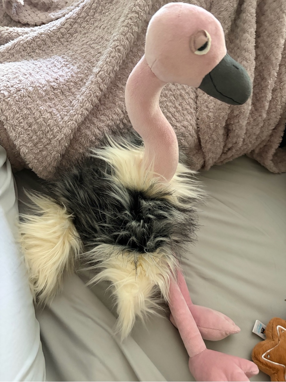 Jellycat ostrichPlush with Fluffy Black & Cream Body